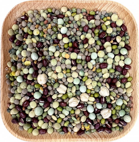 Avian FRESH Diet Parrot Food Bean Supreme Sprout Blend 1 lb. China Prairie Products